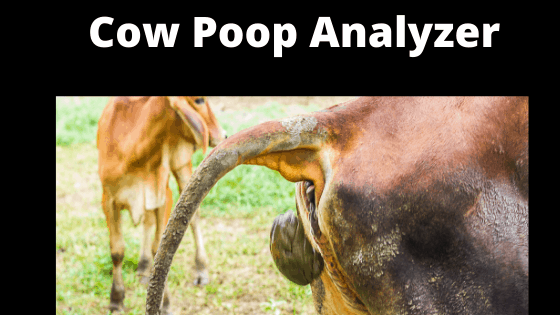 Cow Poop Analyzer