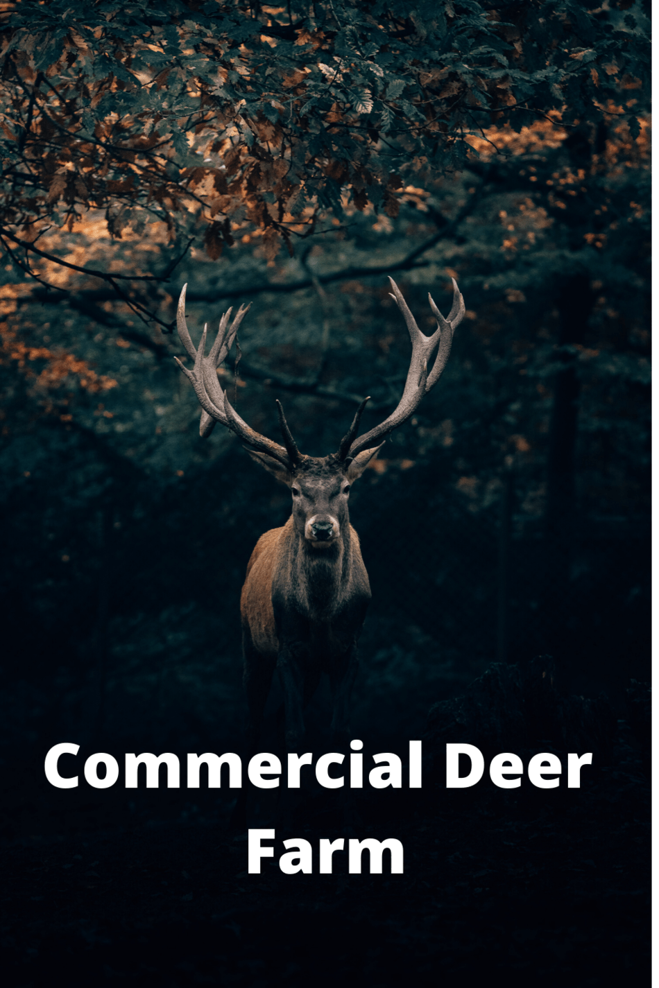 Comercial Deer farming