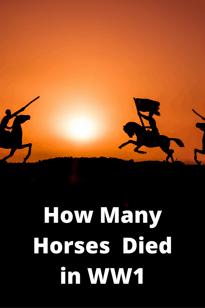 How Many Horses Died in WWI Farm Animal Report