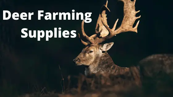 Deer Farming Facts & Supplies 1