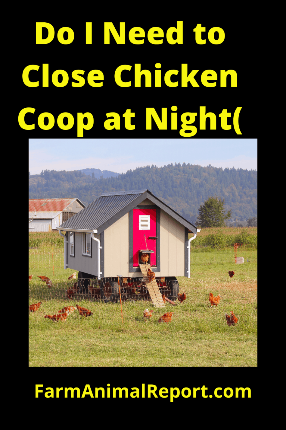 Do I Need to Close the Chicken Coop at Night (with Videos) Farm