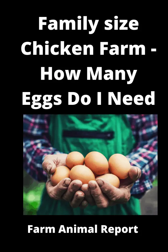 Family size Chicken Farm - *How Many Eggs Do I Need* 1