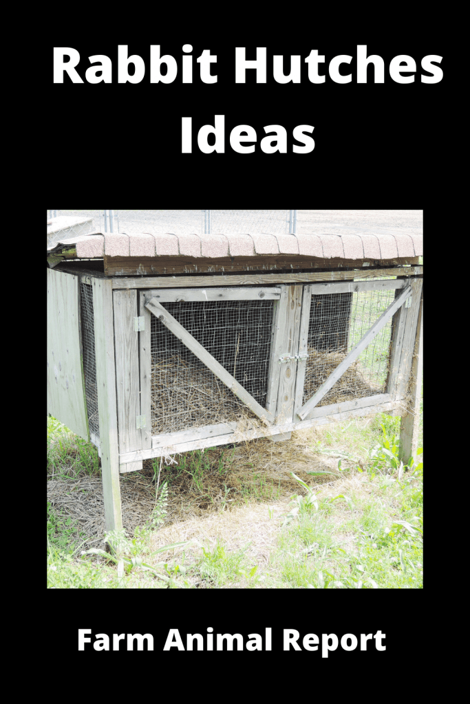 Ultimate Guide for Rabbit Hutches Ideas - 6 Unique 5 Ultimate Guide for Rabbit Hutches Ideas - 6 Unique 3