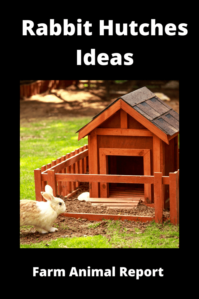 Ultimate Guide for Rabbit Hutches Ideas - 6 Unique 2 Ultimate Guide for Rabbit Hutches Ideas - 6 Unique 1