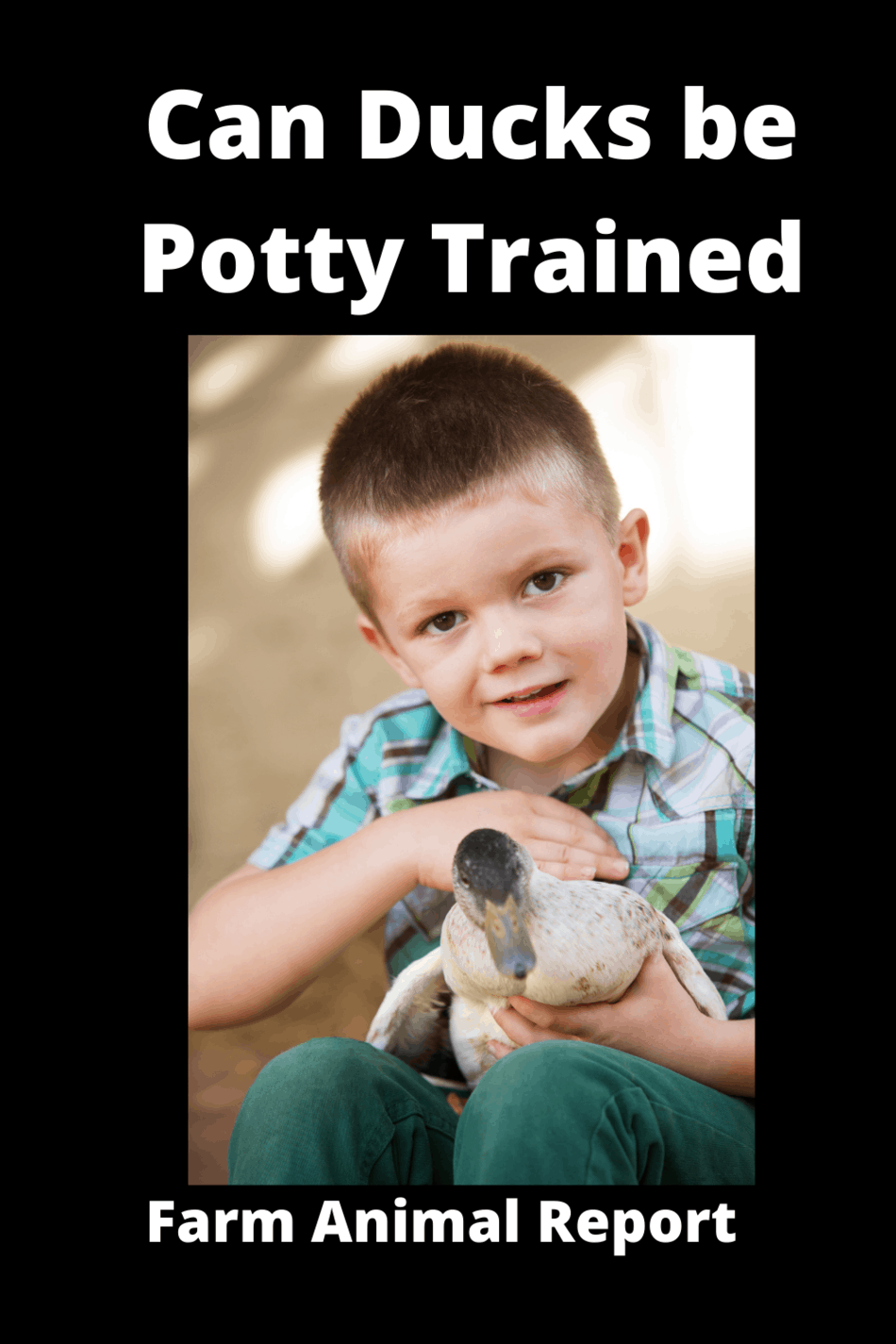 13 Messy Details Can You Potty Train A Duck Ducks One PDF (2024)