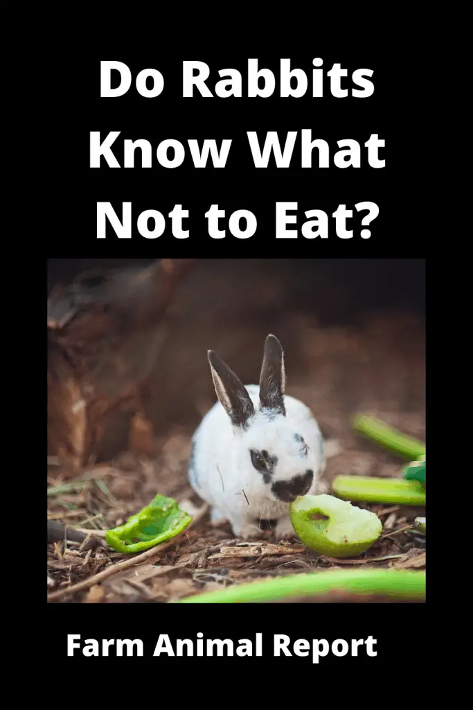 Do Rabbits Know What Not to Eat **SELF_CONTROL** 4