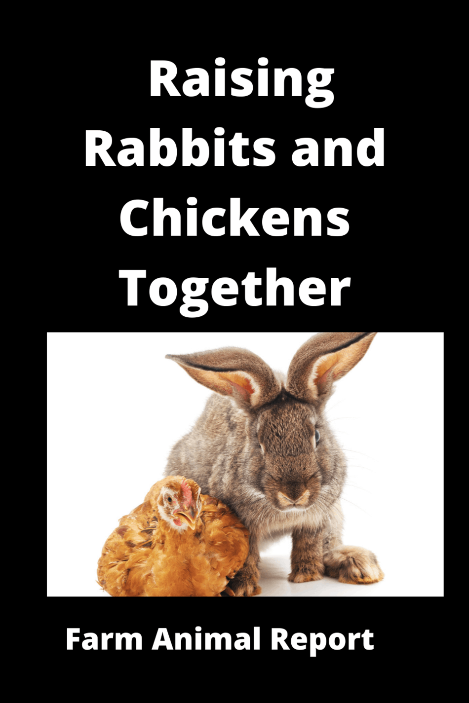 Housing Rabbits And Chickens Together**WATCH**