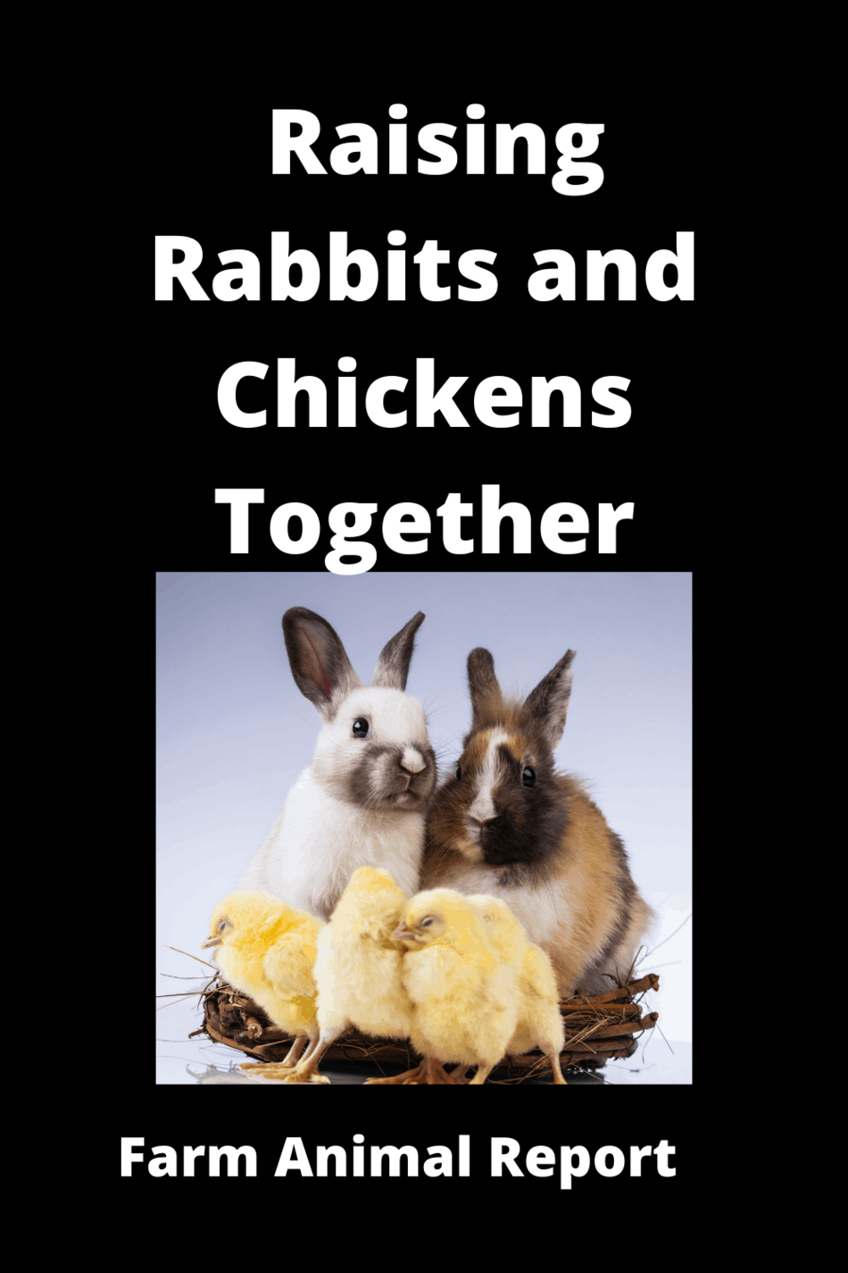Housing Rabbits And Chickens Together**WATCH**