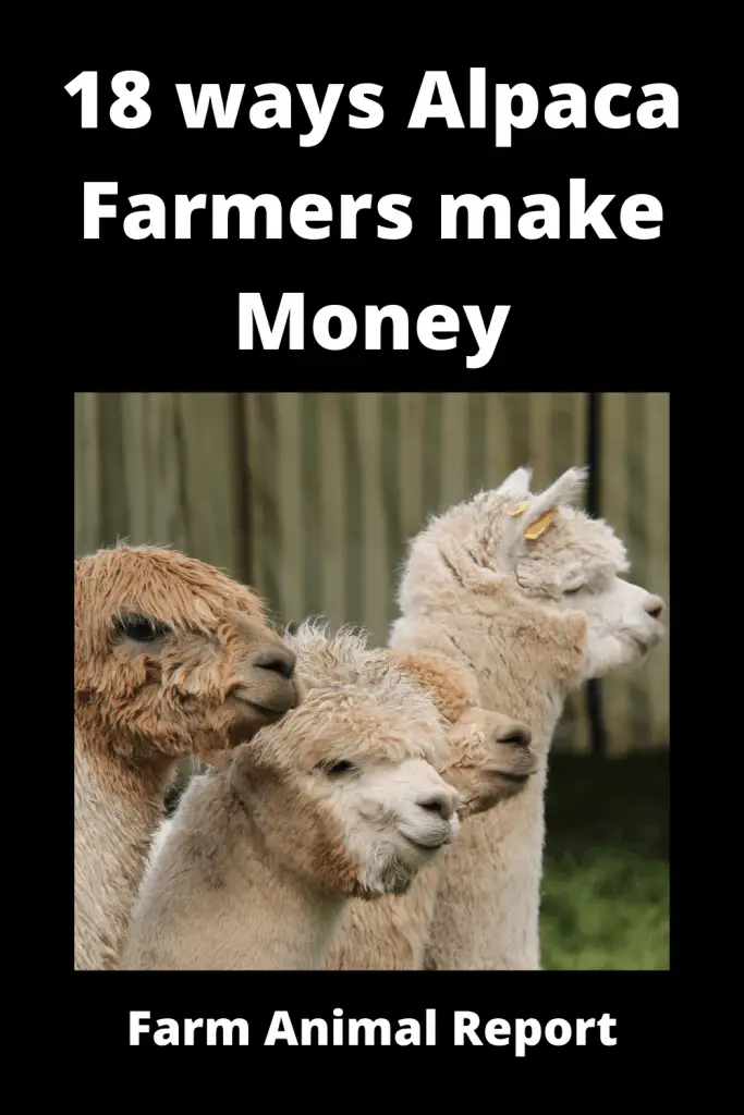 17 ways Alpaca Farmers make Money (2022) 3
