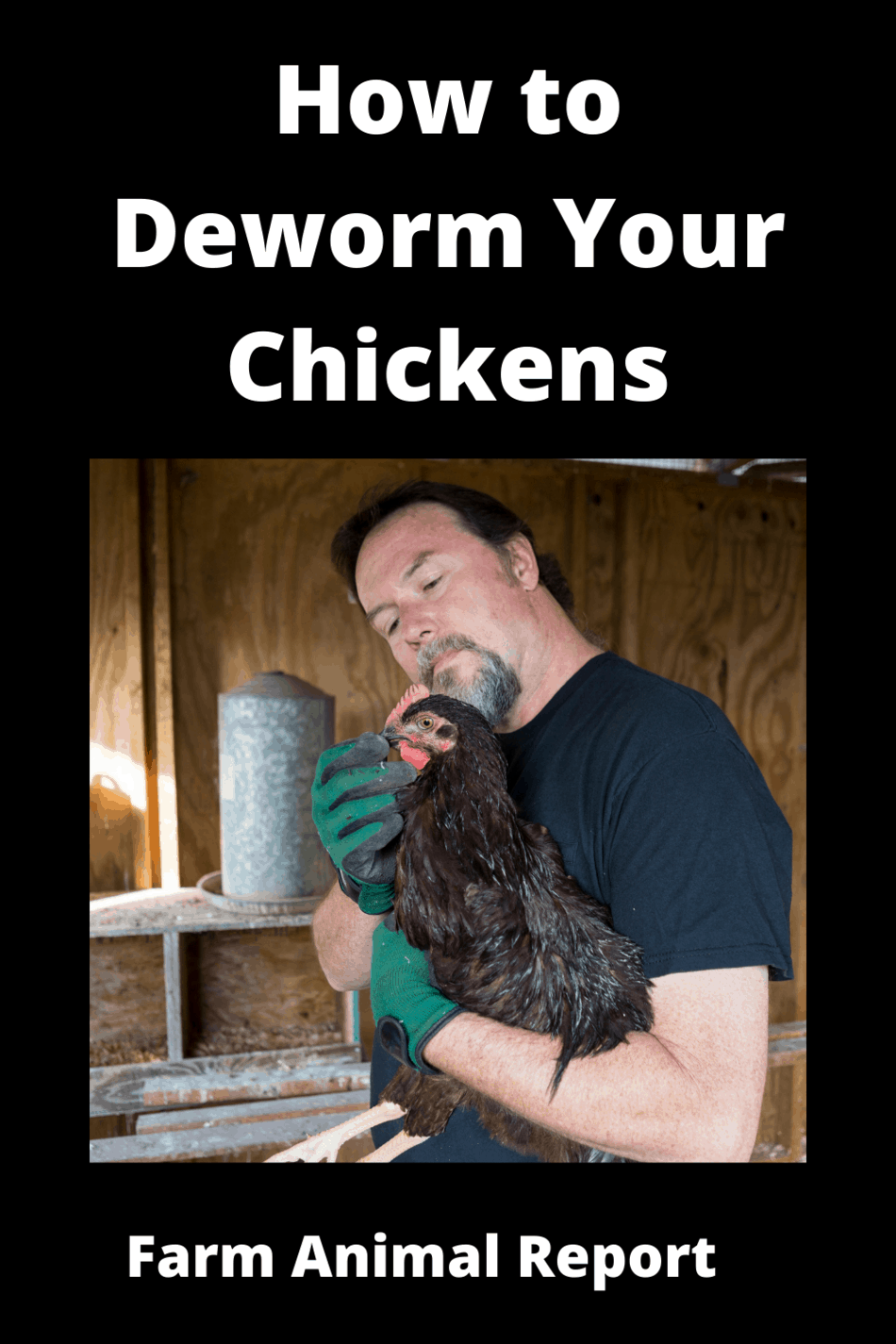 How To Deworm Your Chickens {VISUAL}