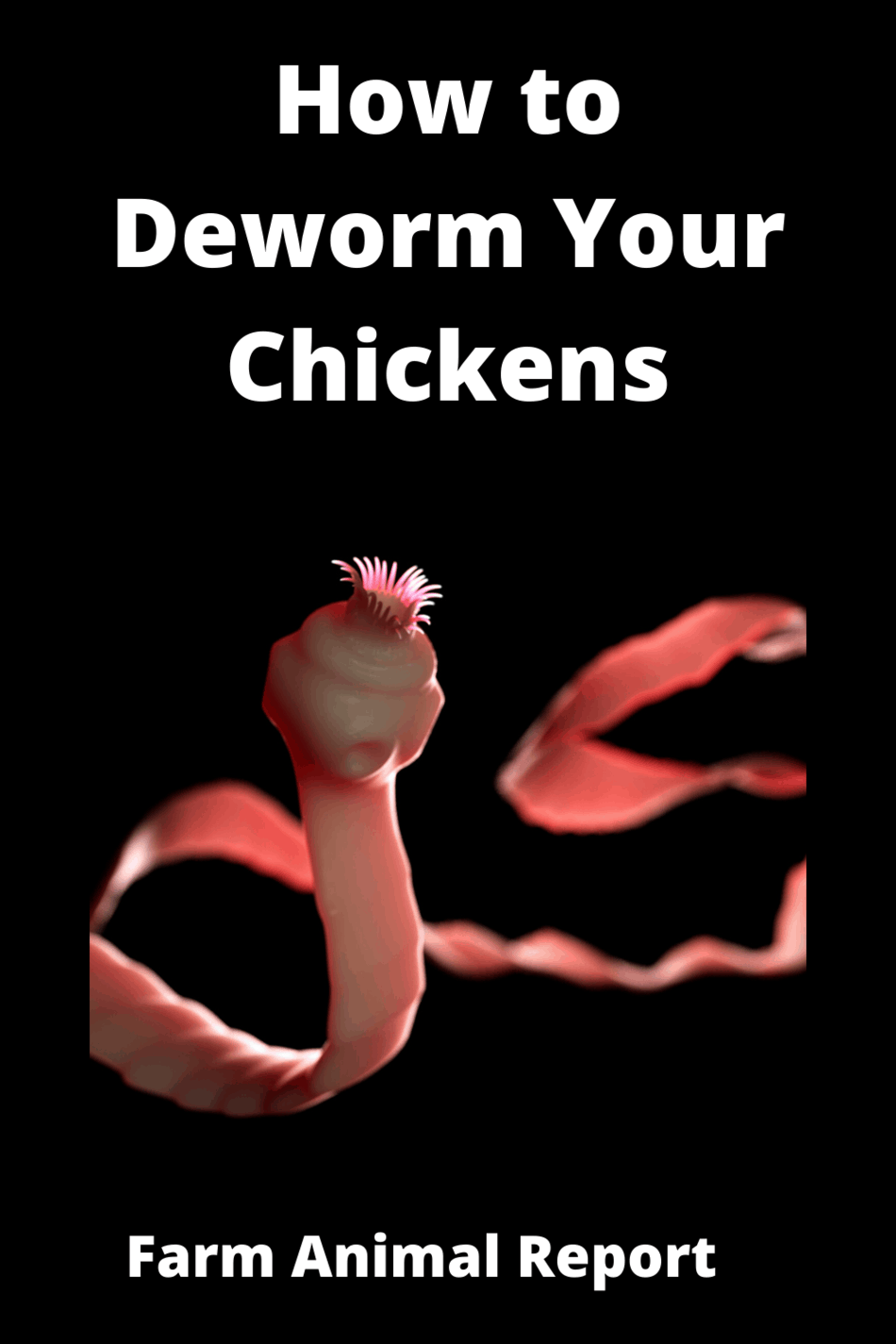 How To Deworm Your Chickens {VISUAL}
