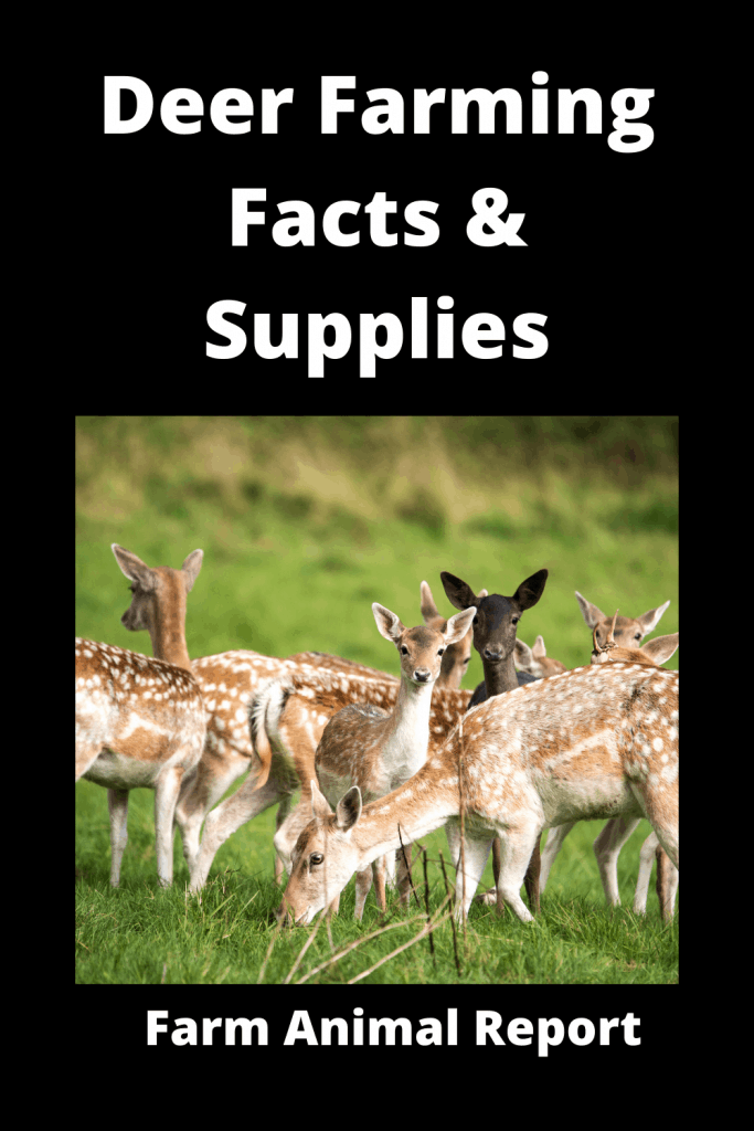 Deer Farming Facts & Supplies 7