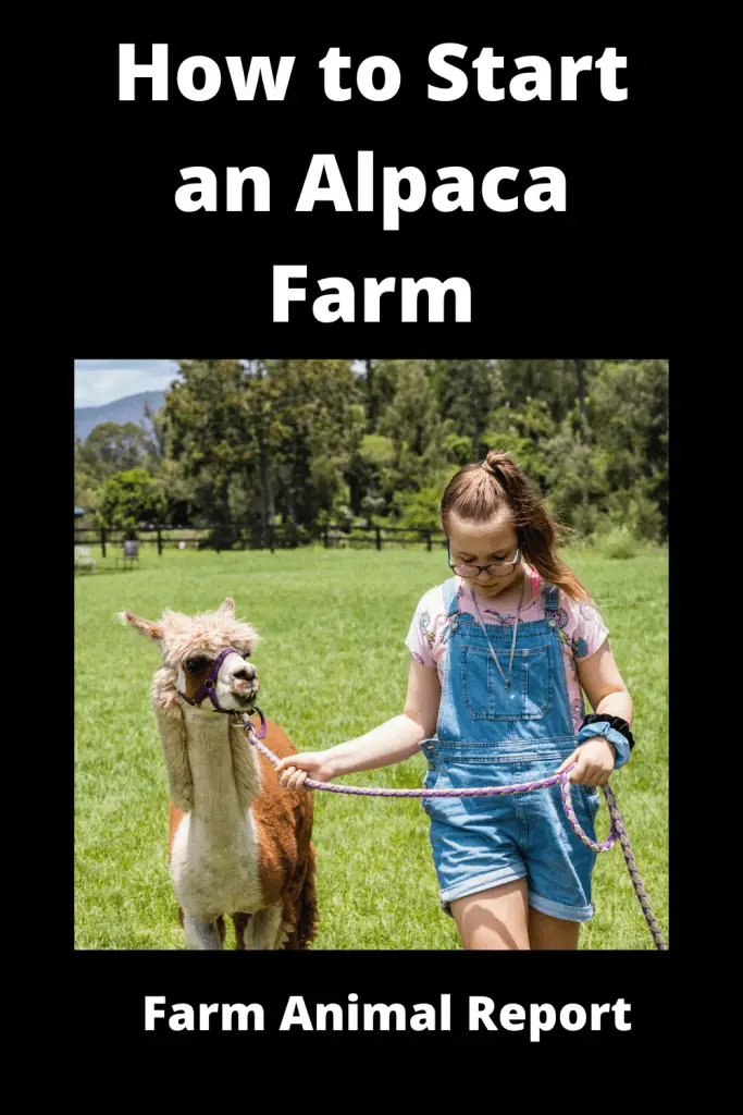 How to Start an Alpaca Farm **FEED & BREED** 4