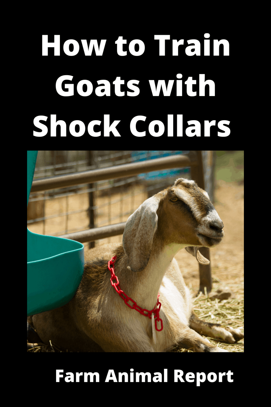 Do Shock Collars Work On Goats?