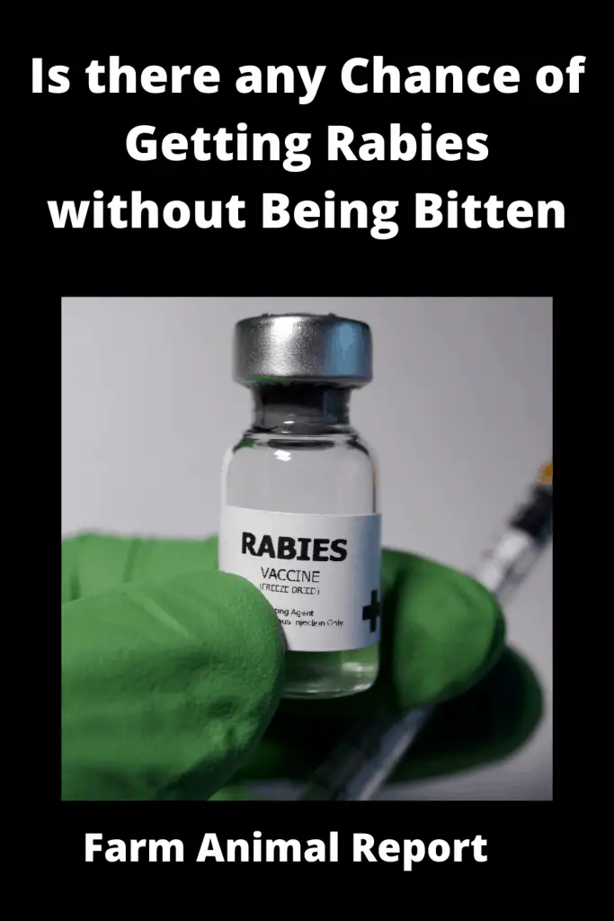 Chances of Getting Rabies without Being Bitten **VIDEOS** 3
