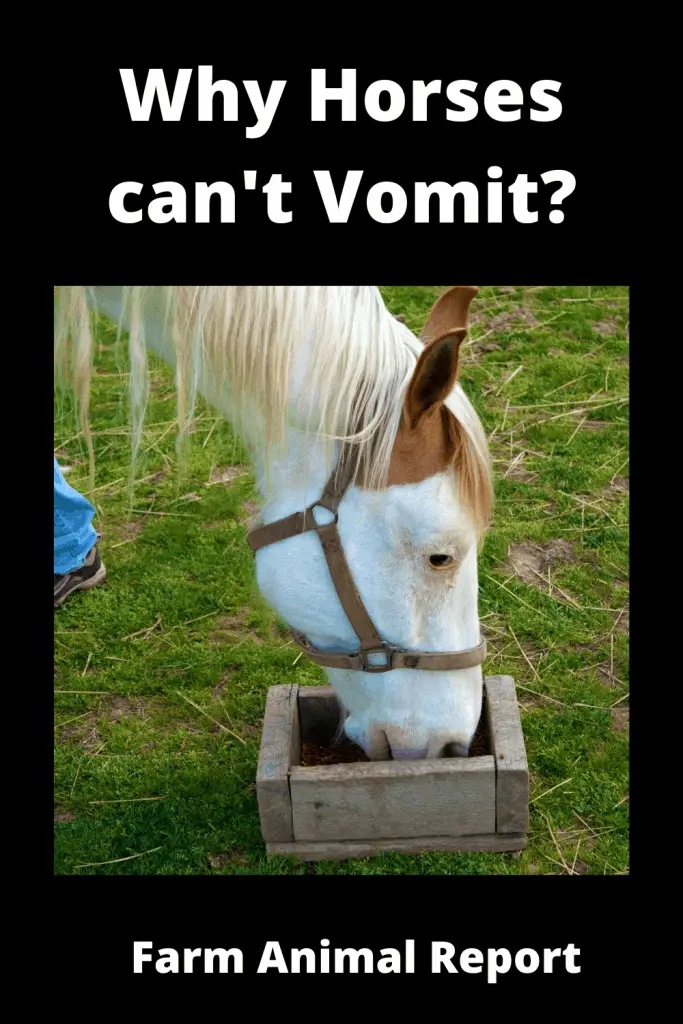Why Can't Horses Vomit? 3