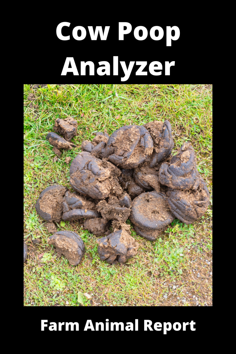 Cow Poop Analyzer Healthy Or Sick