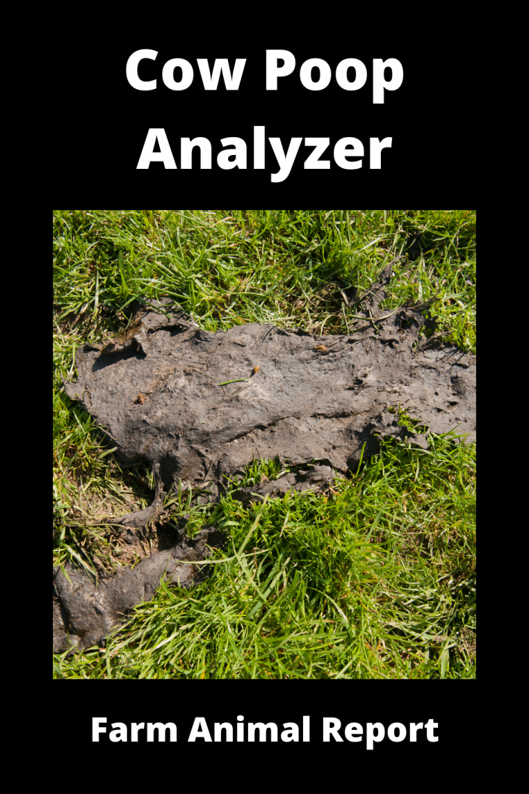 Cow Poop Analyzer Healthy Or Sick