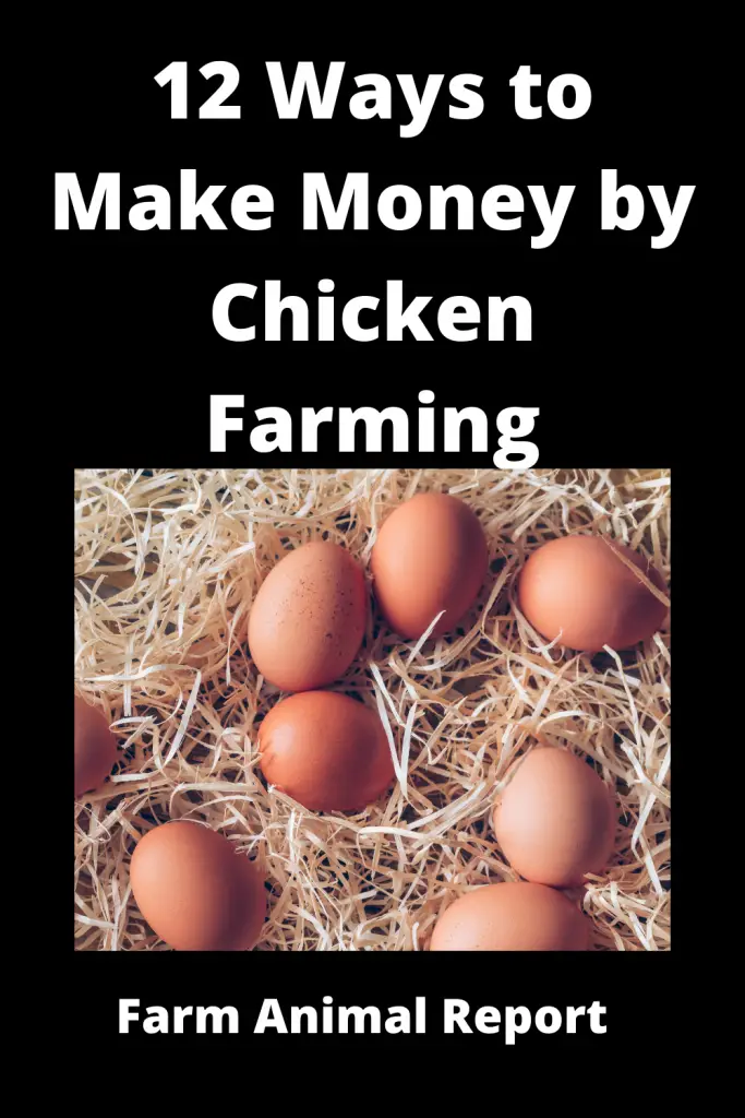 11 Ways to Make Money by Chicken Farming **2022** 7