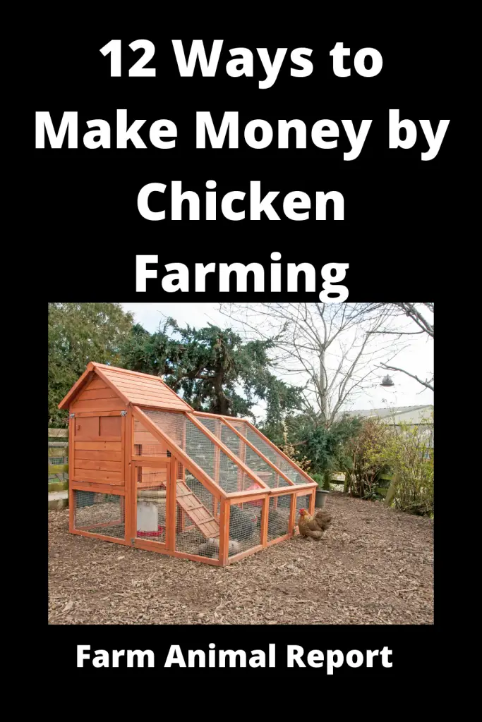 11 Ways to Make Money by Chicken Farming **2023** 10