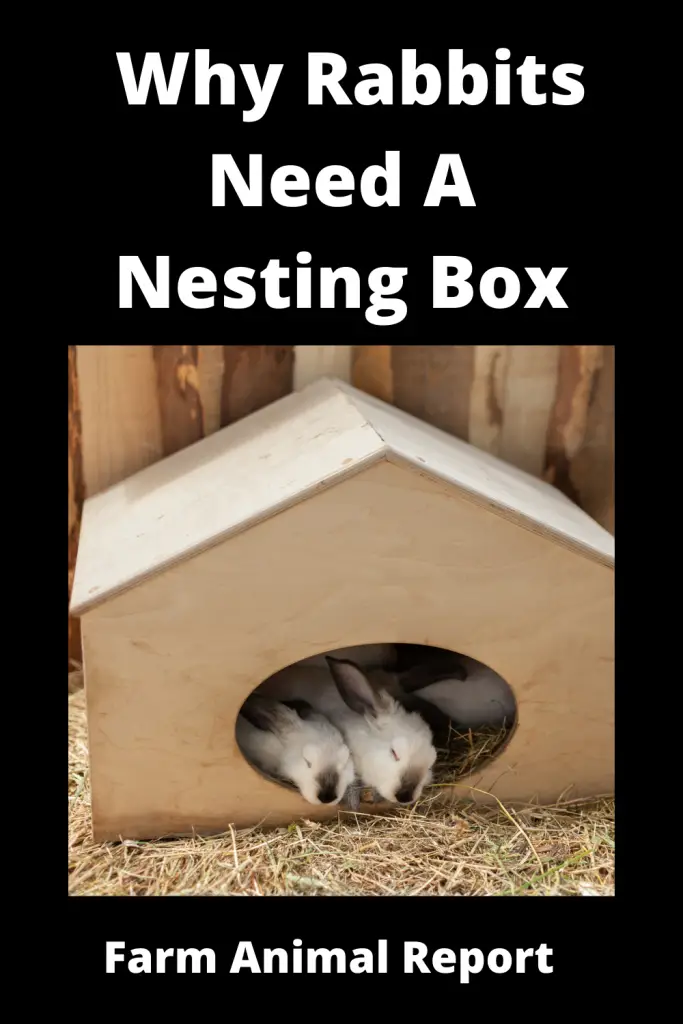 Do Rabbits Nesting Box? - **NESTING** 1