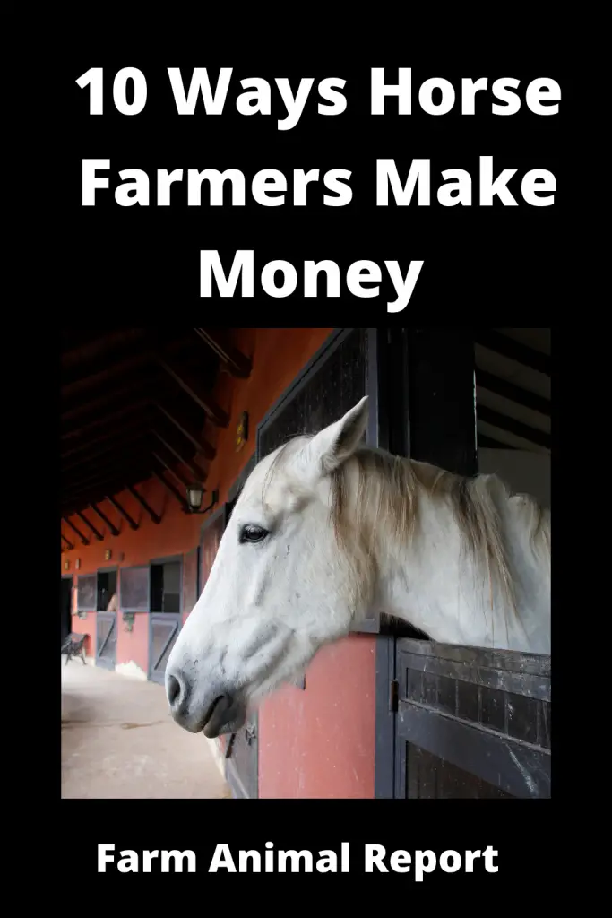 9 Ways Horse Farmers Make Money. 2