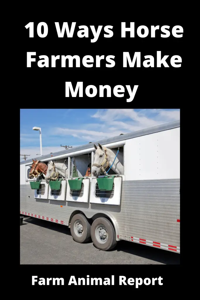 9 Ways Horse Farmers Make Money. 4