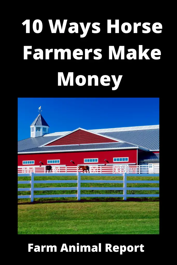 9 Ways Horse Farmers Make Money. 1