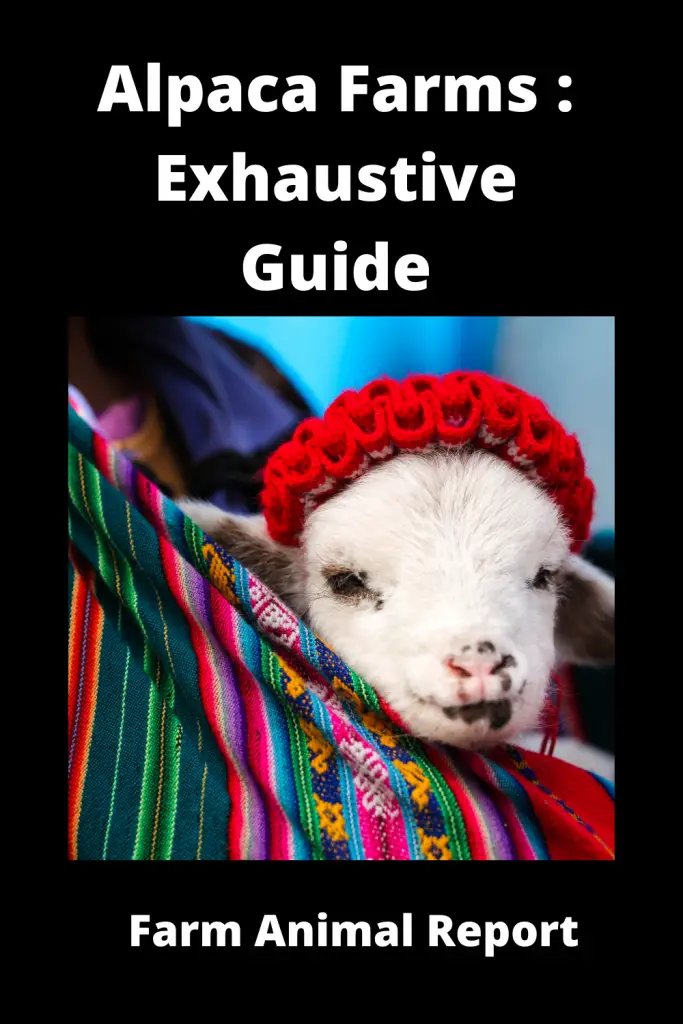 Alpaca Farms: Exhaustive Guide **FARMING** 1