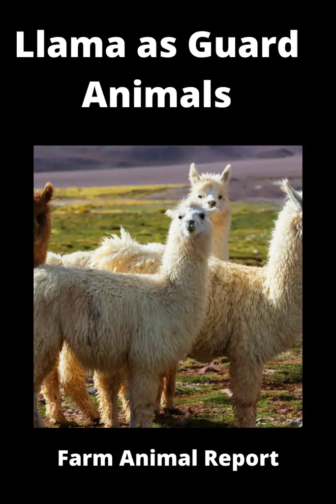 Llama as Guard Animals **PASSWORD** 1