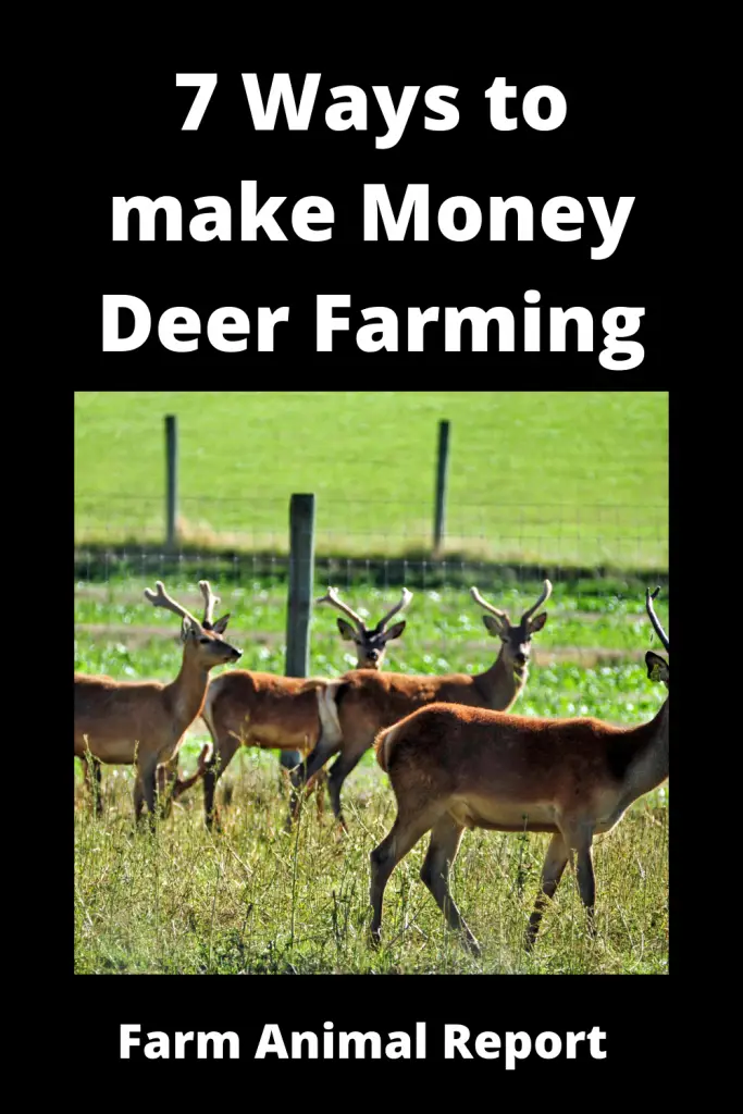 7 Ways to Make Money Deer Farming 2