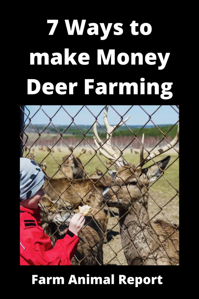 7 Ways to Make Money Deer Farming 3