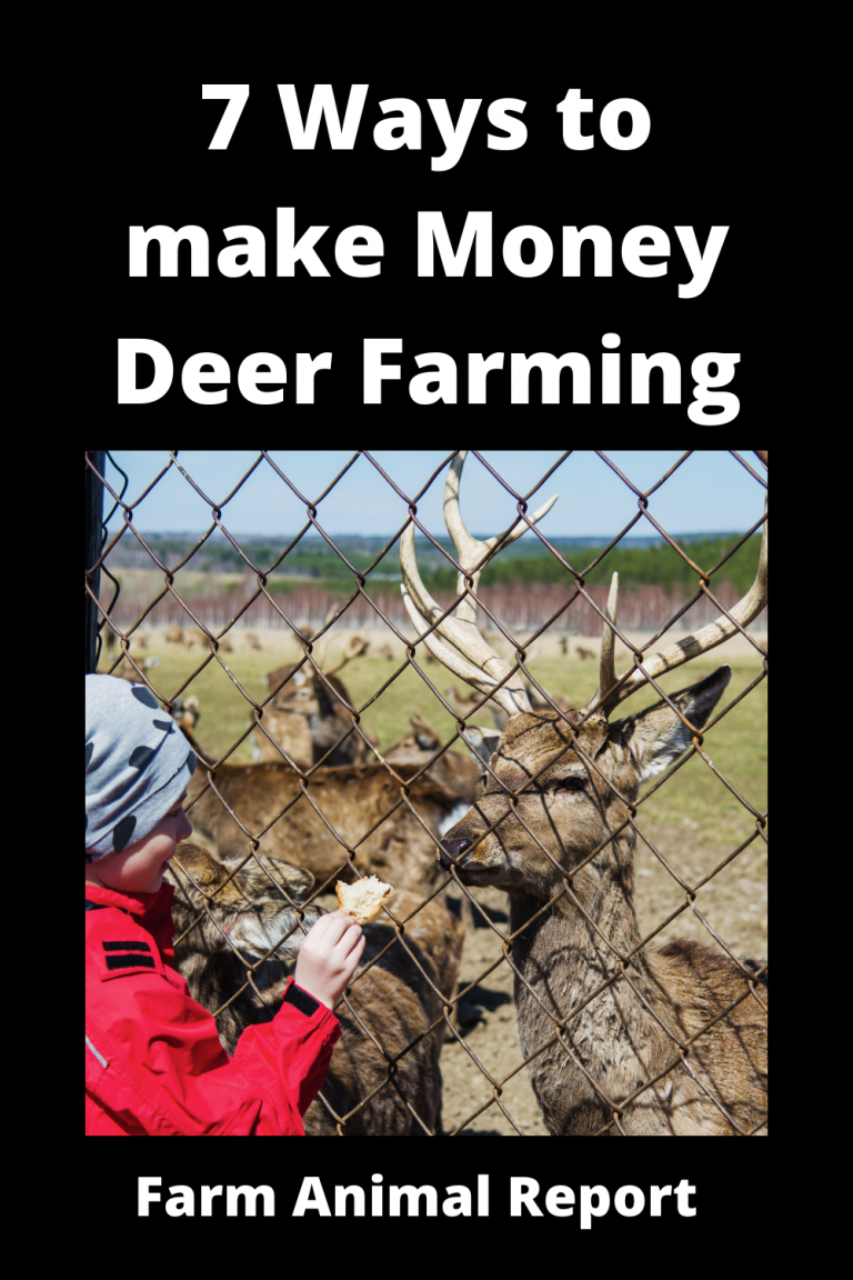 7 Ways To Make Money Deer Farming
