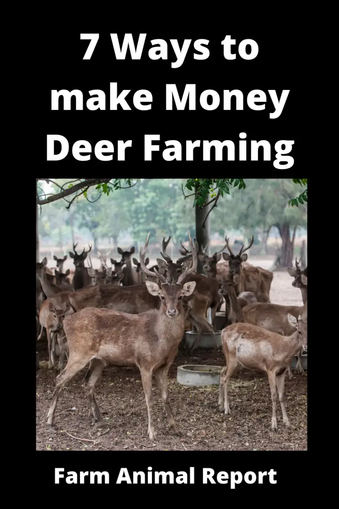 7 Ways to Make Money Deer Farming 1