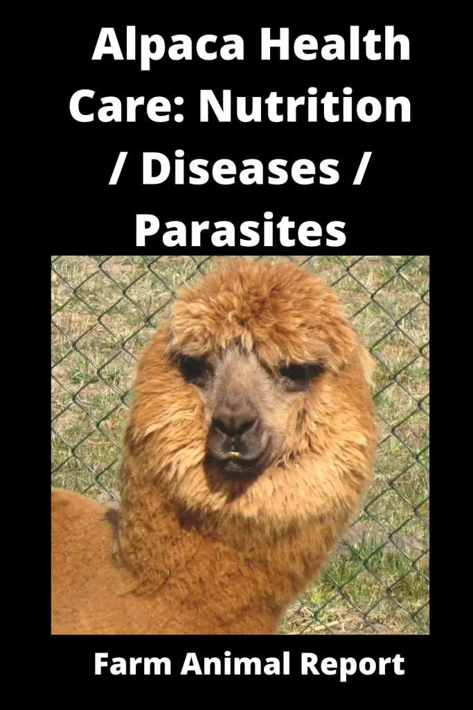 Alpaca Health Care: **Nutrition / Diseases / Parasites** 4
