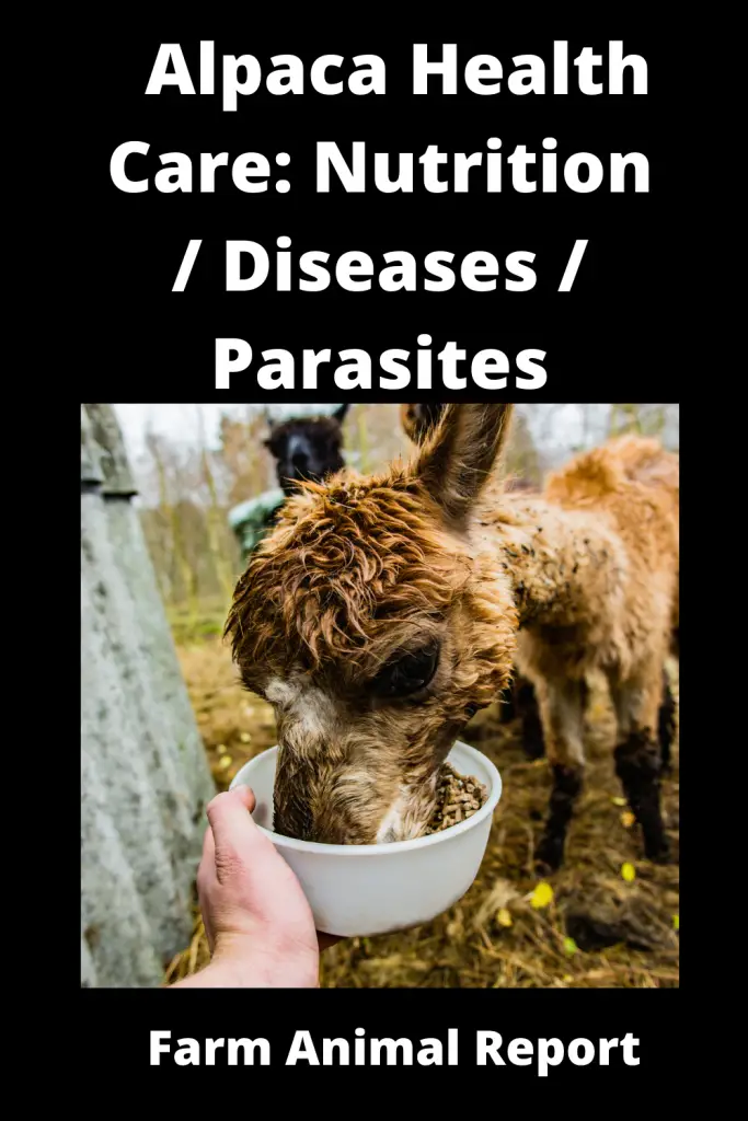 Alpaca Health Care: **Nutrition / Diseases / Parasites** 1
