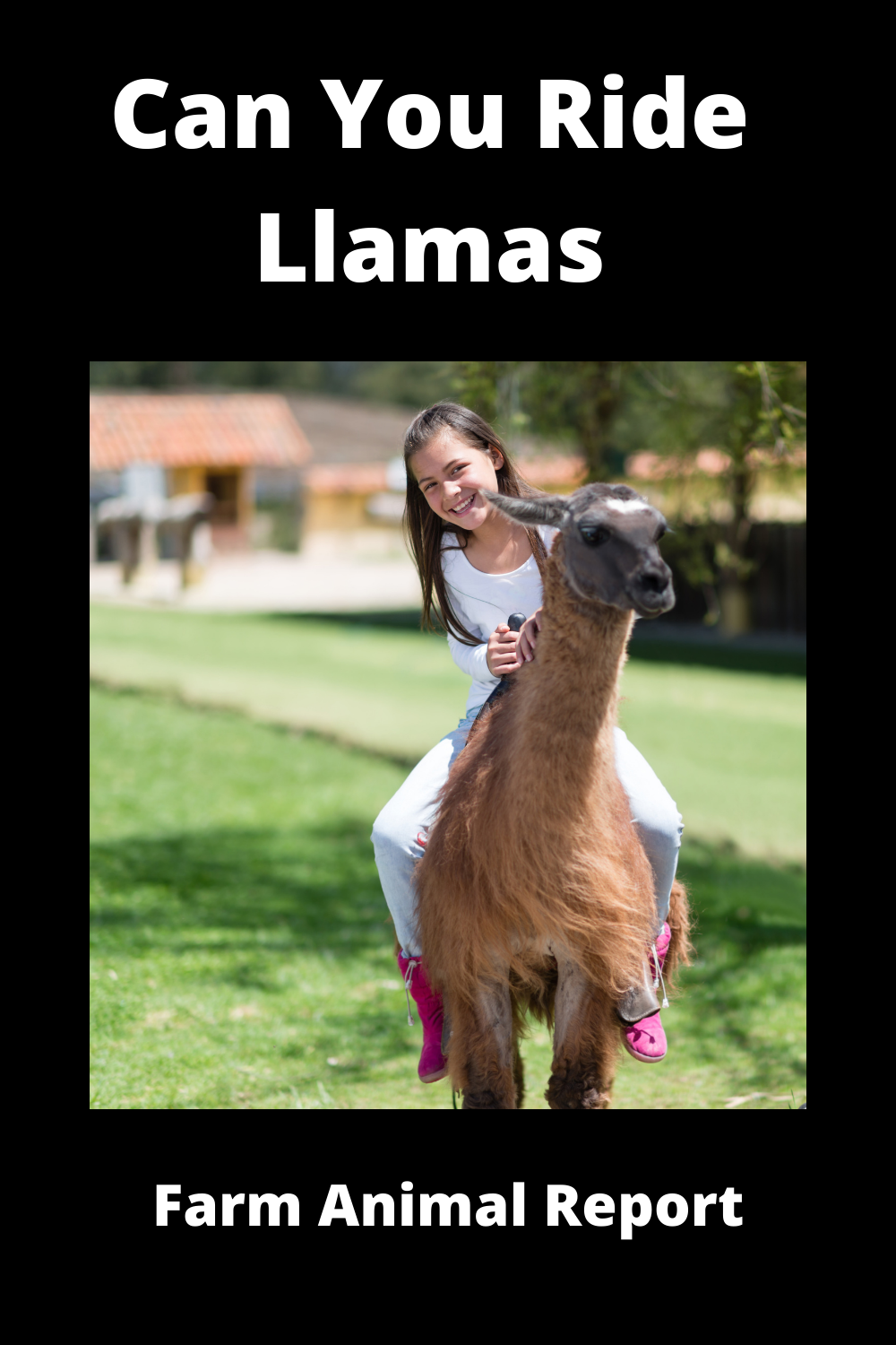 Can You Ride A Llama (2024)