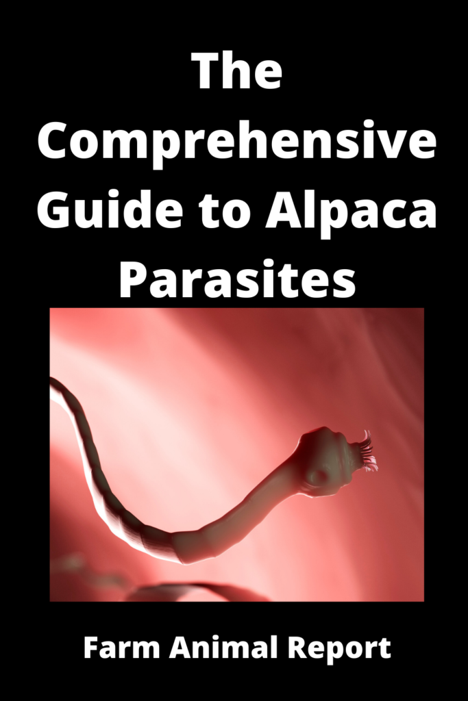 The Comprehensive Guide To Alpaca Parasites **WORMS**