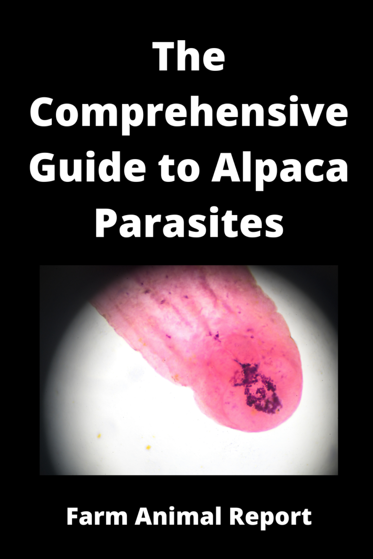 The Comprehensive Guide To Alpaca Parasites **WORMS**