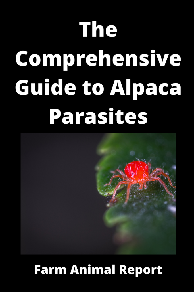 The Comprehensive Guide To Alpaca Parasites **WORMS**