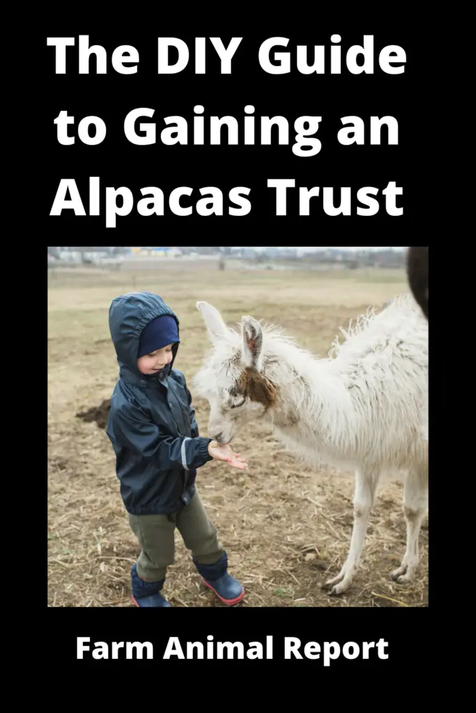 The DIY Guide to Gaining an Alpacas Trust **2022** 1