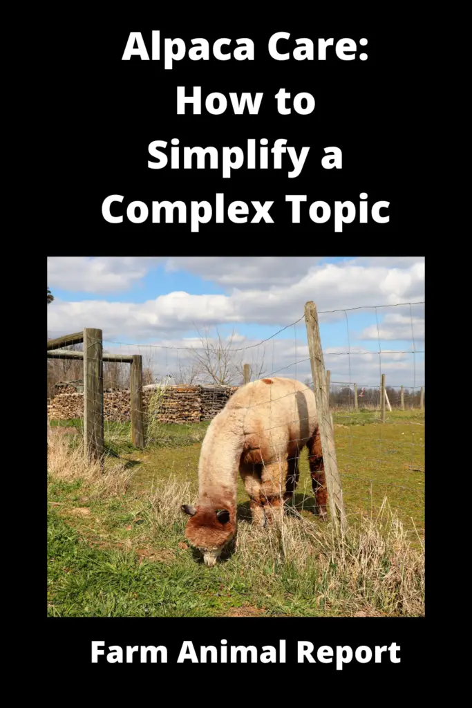 Alpaca Care: How to Simplify a Complex Topic 2