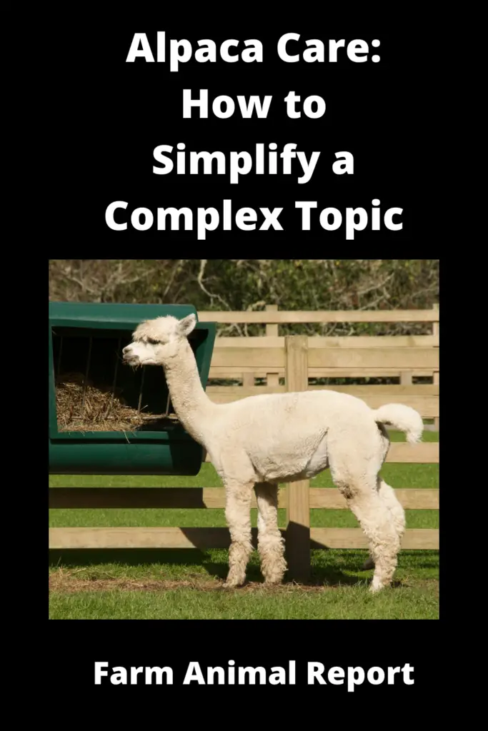 Alpaca Care: How to Simplify a Complex Topic 3