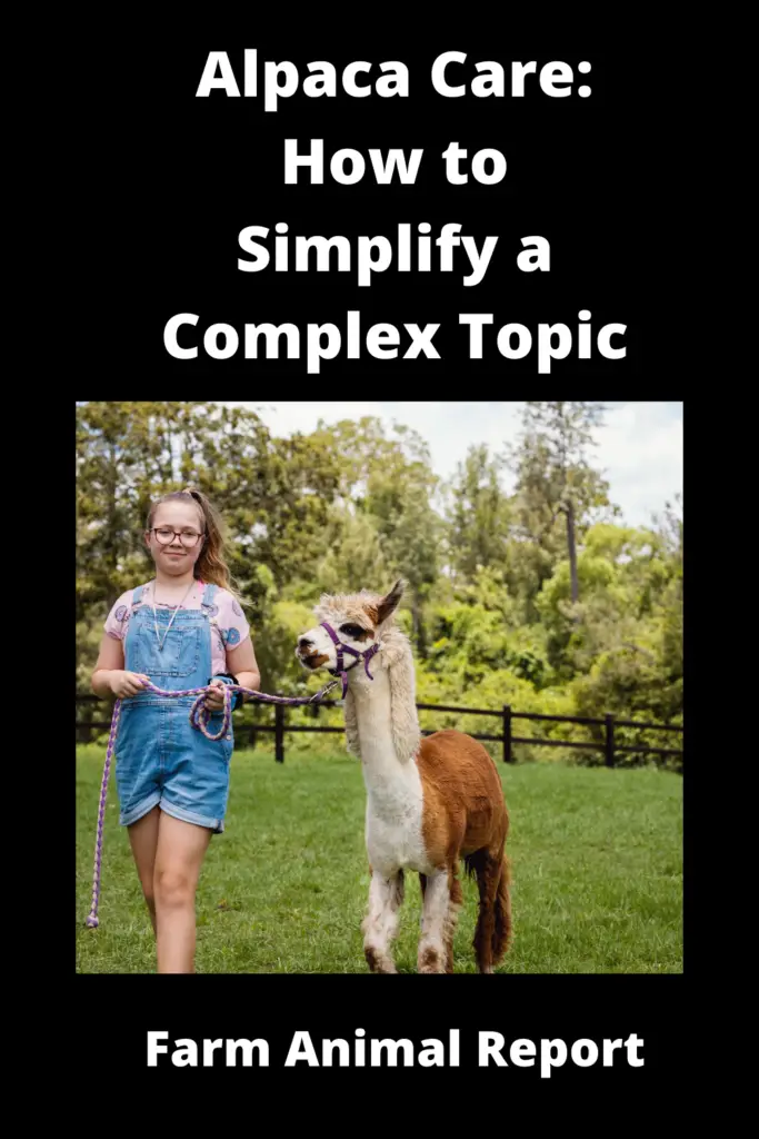 Alpaca Care: How to Simplify a Complex Topic 4