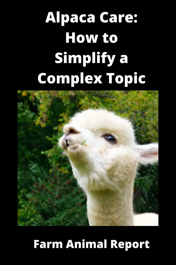 Alpaca Care: How to Simplify a Complex Topic 1