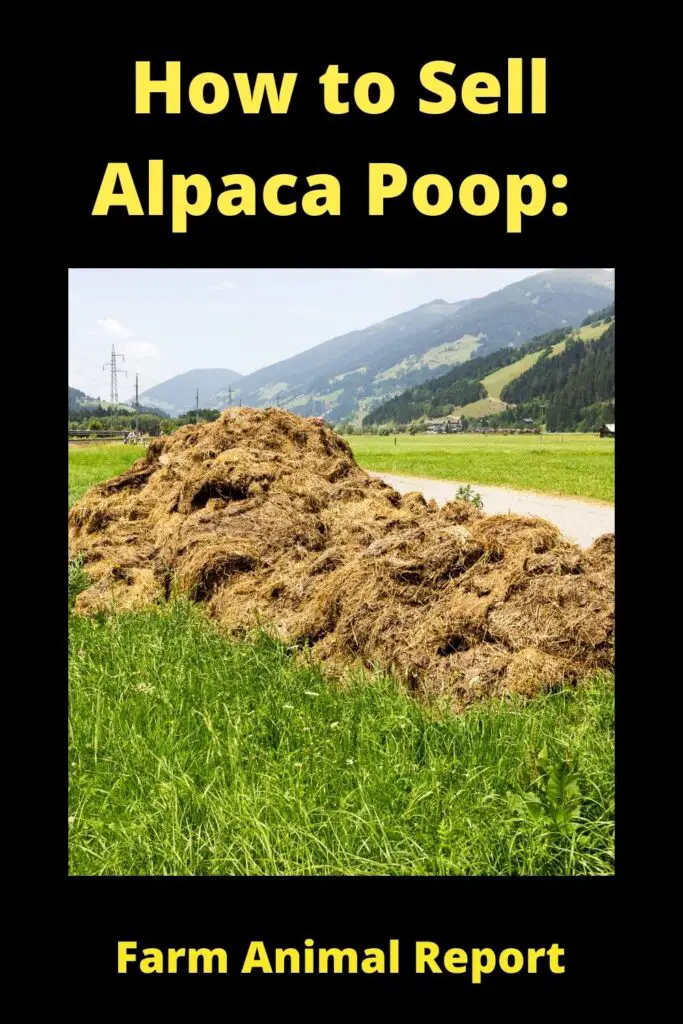 How to Sell Alpaca Poop: **BLACK GOLD ** 2022 2