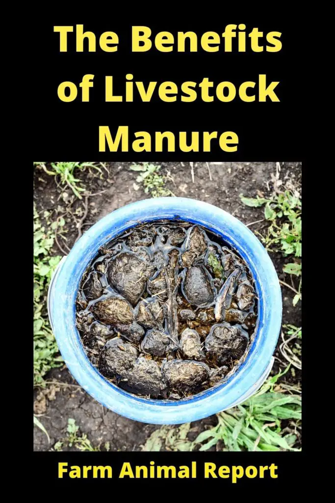 The Benefits of Livestock Manure 2