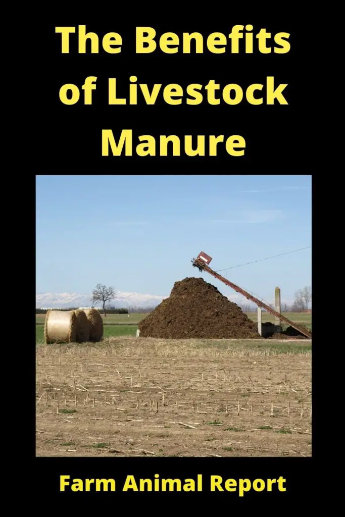 The Benefits of Livestock Manure 3