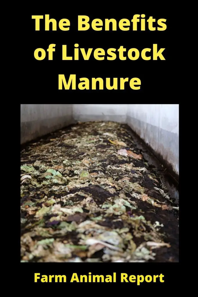 The Benefits of Livestock Manure 4