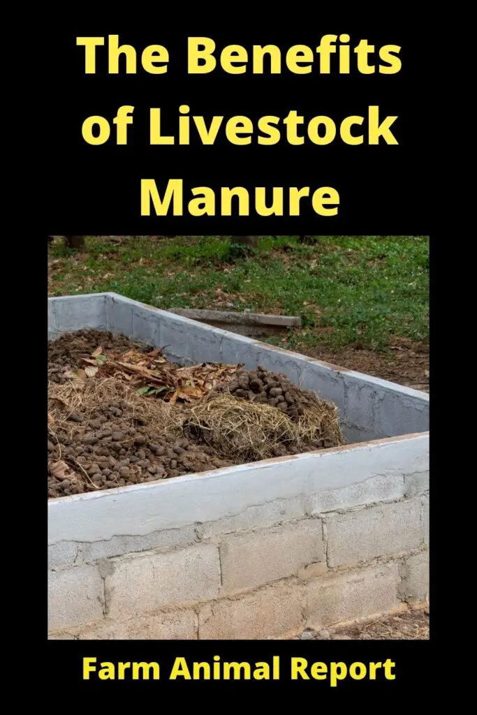 The Benefits of Livestock Manure 5